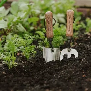 Garden Life Stainless Steel Hand Fork