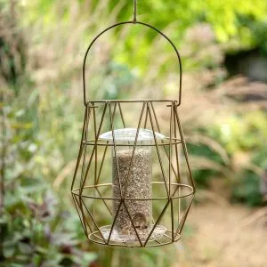 aura bird feeder lifestyle