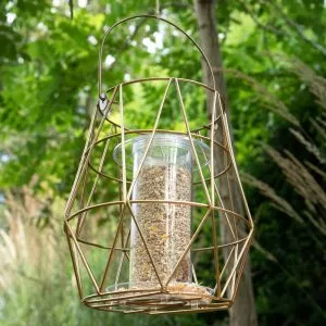 aura bird feeder lifestyle