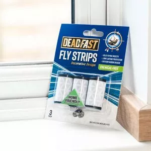 fly strips