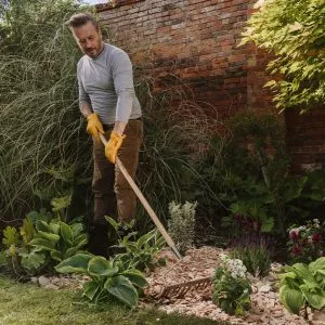 Westland Rustic Wood Chips