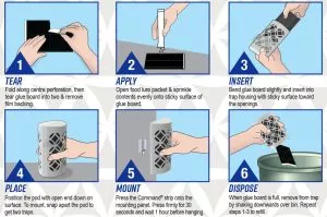 indoor fly pod how to use