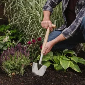 Stainless Steel Perennial Spade in use