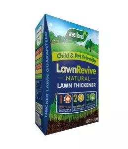 lawn patches