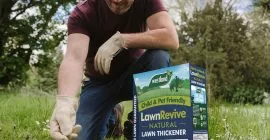 How to get a thicker lawn with Lawn Revive