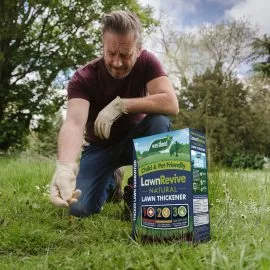 lawn revive