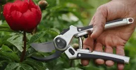 Why is it so important to use sharp cutting tools in the garden?