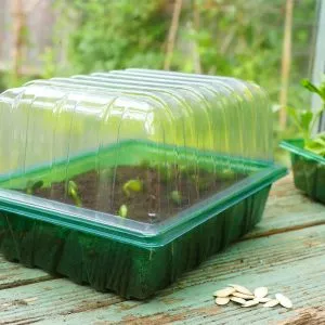 Gro-Sure Visiroot Half Seed Tray