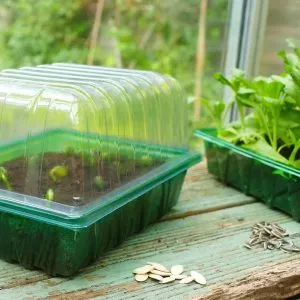 Visiroot Seed Tray Lid