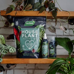 houseplant range on shelf