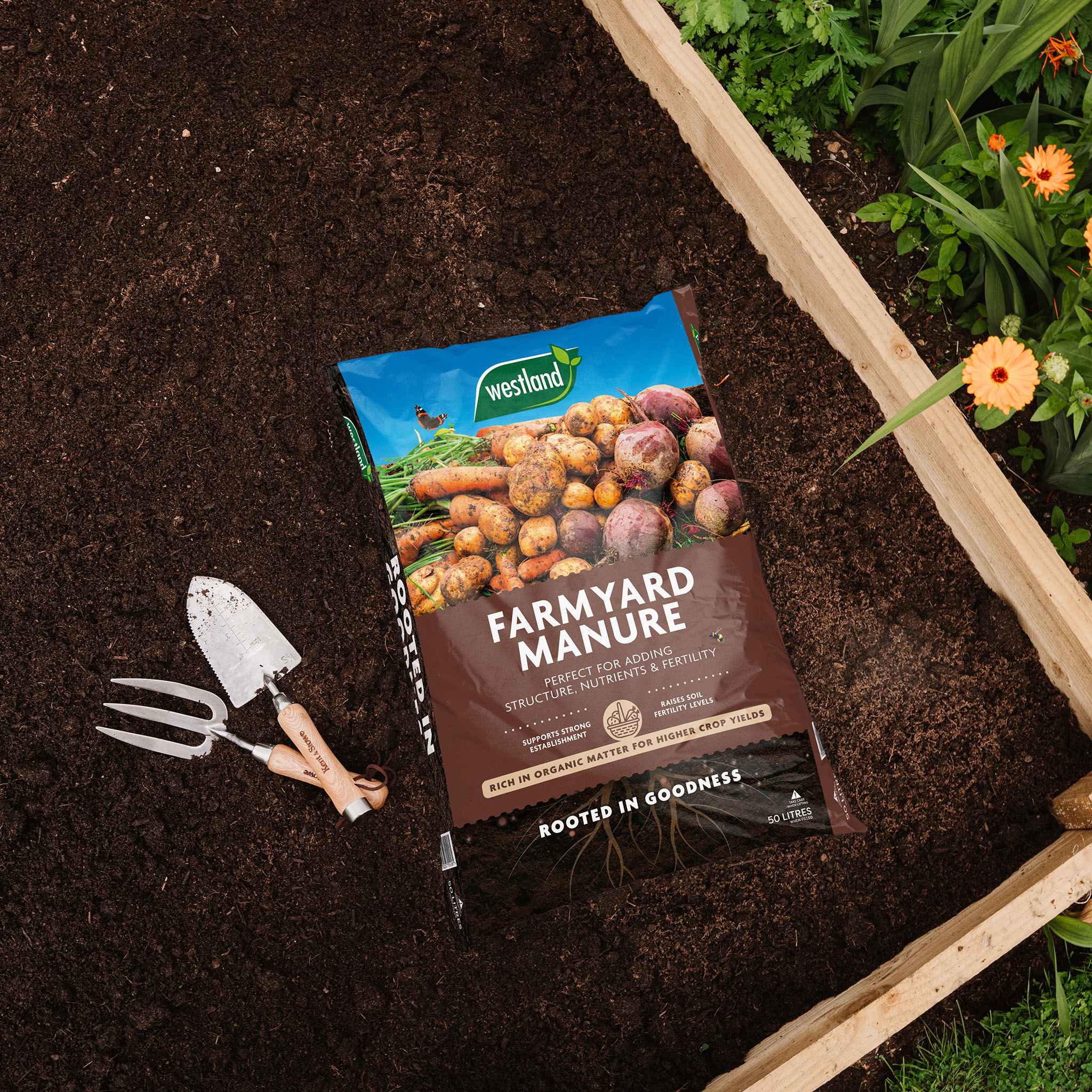 westland farmyard manure on soil raised bed