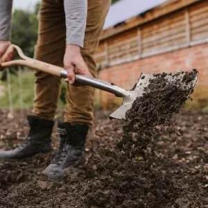 farmyard manure in use