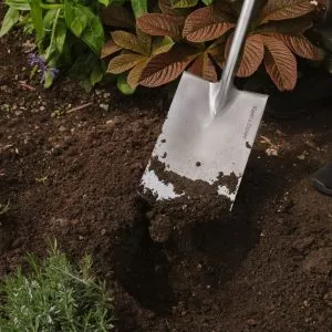 farmyard manure in use