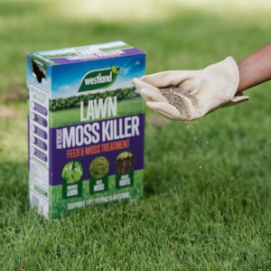 westland aftercut lawn moss killer 80m
