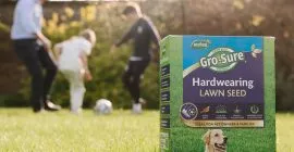 gro-sure hardwearing lawn seed