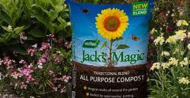 jacks magic