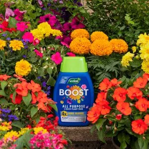 boost