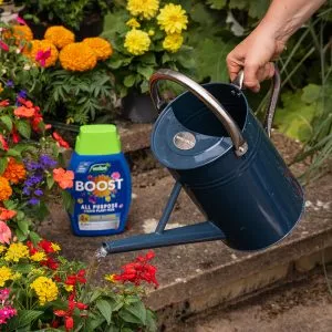 boost watering peat free compost