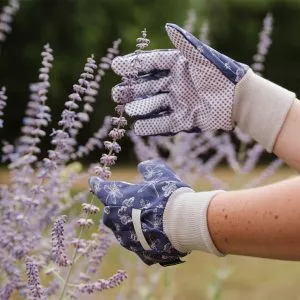 Cotton Gloves Flutterbugs Print Triple Pack