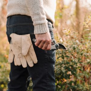 eversharp all purpose secateurs in back pocket