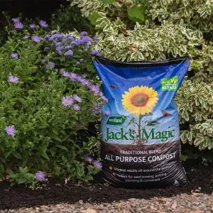 jacks magic 50 50 lifestyle