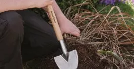 dividing perennial spade kent and stowe