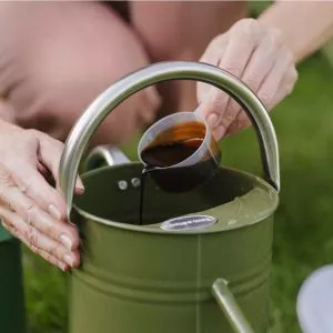 pouring liquid into watering can