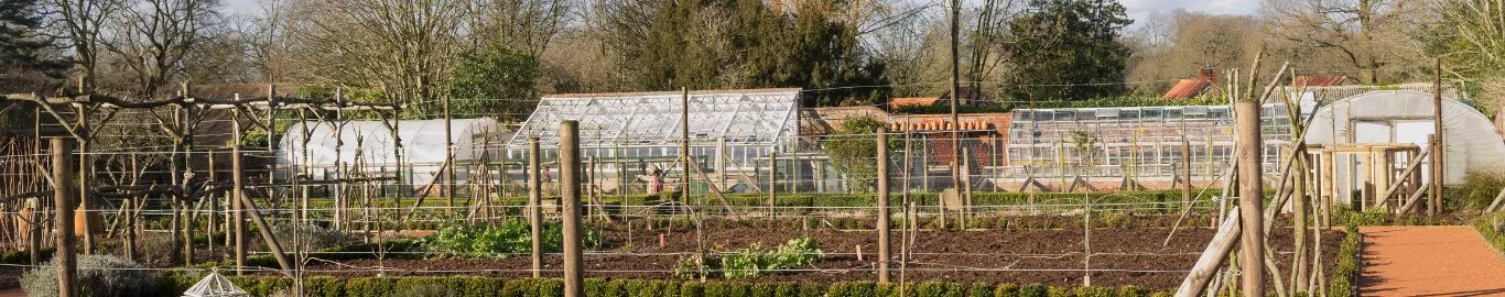 starting your allotment article