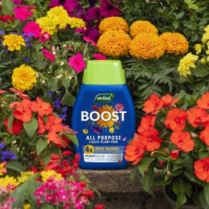 boost bottle on a bench surrounded by flowers