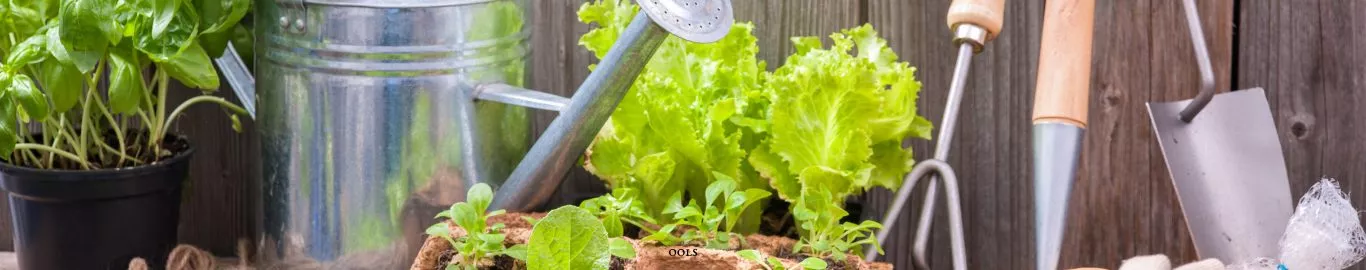 gardening-promotes-health