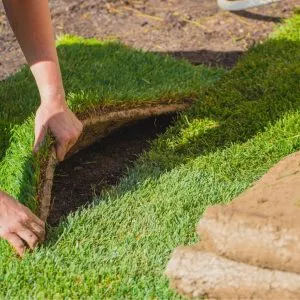 laying turf