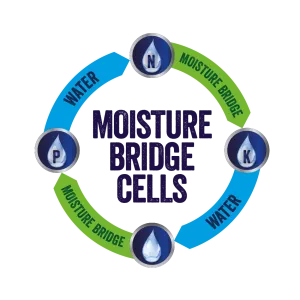 visiroot moisture bridge cells