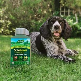 safelawn liquid lawn feed