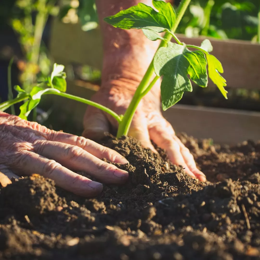 sustainable-gardening