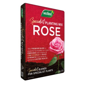 Westland Rose Specialist Planting Mix