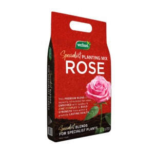 westland rose specialist planting mix 10 litres