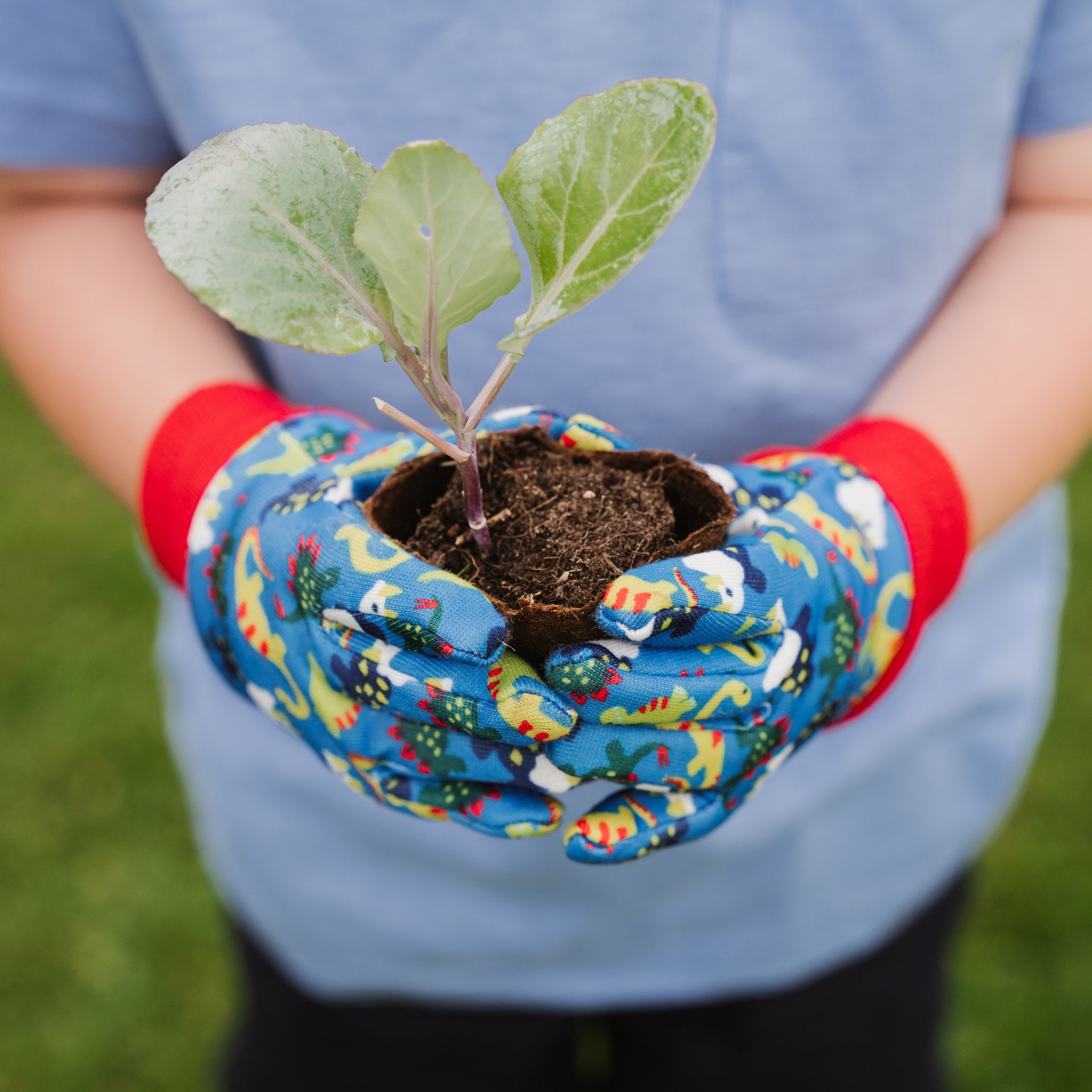 kid holding plug plant