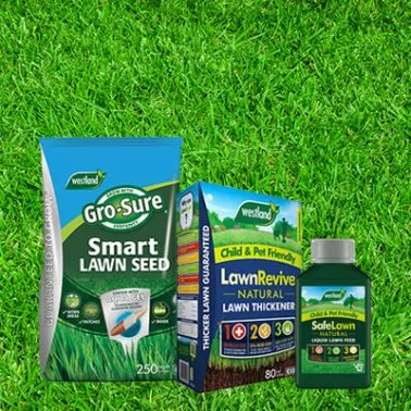 View our lawn products