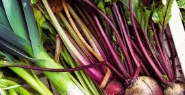 What to Grow in your Allotment