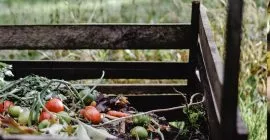 composting article