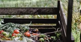 How to compost