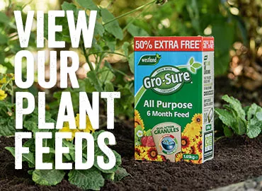 View our All Purpose Plant Feeds