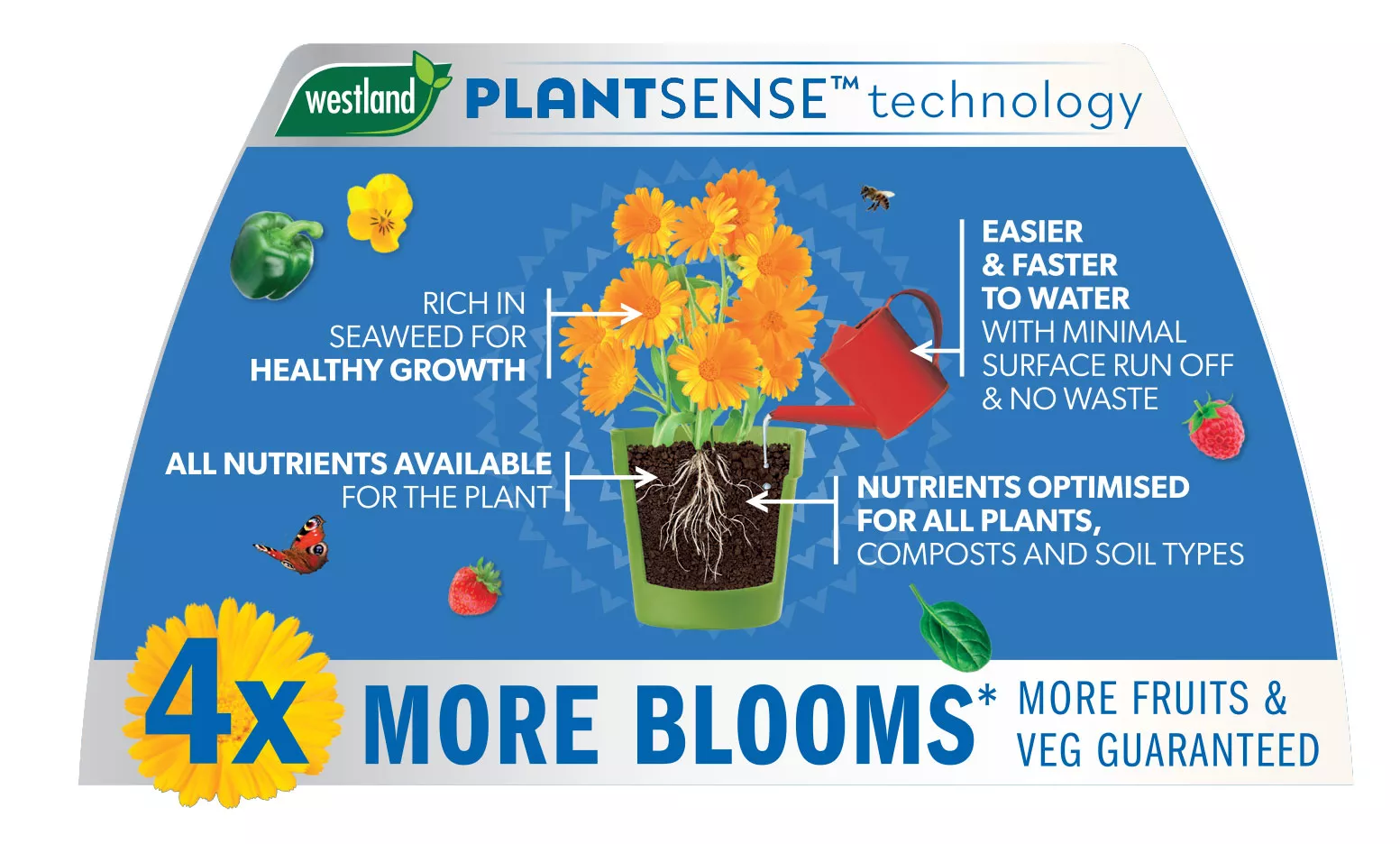 Boost plant feed diagram