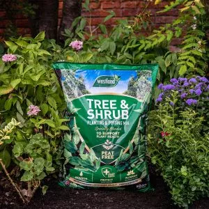 tree and shrub compost