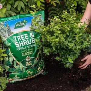 tree and shrub compost