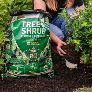 tree and shrub compost