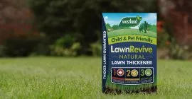 lawn revive