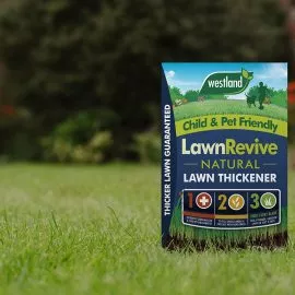 lawn revive