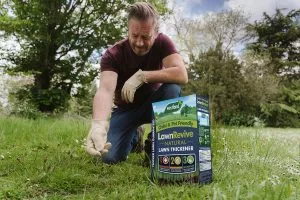 lawn revive