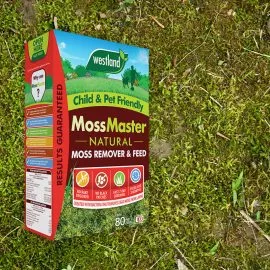 moss master remove lawn moss